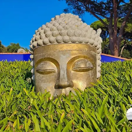 Tininha Da Ilha - Escape * ペニシェ